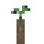 Concord Grape Propagule icon