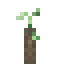 Cotton Candy Grape Propagule icon