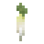 Daikon icon
