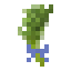 Dill icon