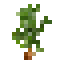 Fat Hen icon