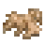 Ginger icon