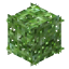 Goji Berry Leaves icon