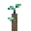 Green Grape Propagule icon