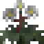 Hellebore icon