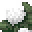 Hydrangea icon