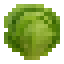 Iceberg Lettuce icon