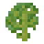 Kale icon