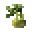 Kohlrabi icon