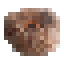 Konjac icon