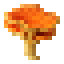 Laetiporus icon