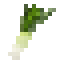 Leek icon
