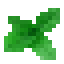 Lemon Balm icon