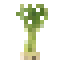 Lemongrass icon
