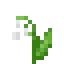 Lily Of The Valley icon