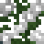 Morning Glory icon