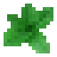 Oregano icon