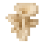 Oyster Mushroom icon