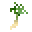 Parsley icon