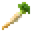 Parsnip icon