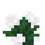 Peony icon
