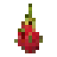 Pitaya icon