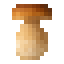 Porcini icon