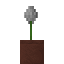 Potted Alium icon