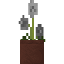 Potted Amaryllis icon