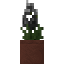 Potted Black Bearded Iris icon
