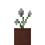 Potted Blue Orchid icon