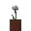 Potted Cornflower icon