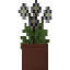 Potted Dahlia icon