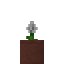 Potted Dandelion icon