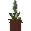 Potted Great Lobelia icon