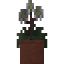 Potted Hellebore icon