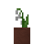Potted Lily Of The Valley icon