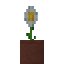 Potted Oxeye Daisy icon