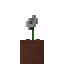 Potted Poppy icon