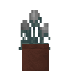 Potted Sea Holly icon