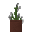 Potted Skullcap icon