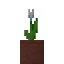 Potted Tulip icon