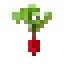 Radish icon
