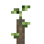 Red Grape Propagule icon