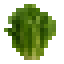 Romain Lettuce icon