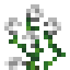 Rose Bush icon