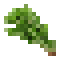 Rosemary icon