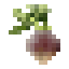 Rutabaga icon