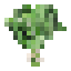 Sage icon
