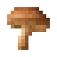 Shiitake icon